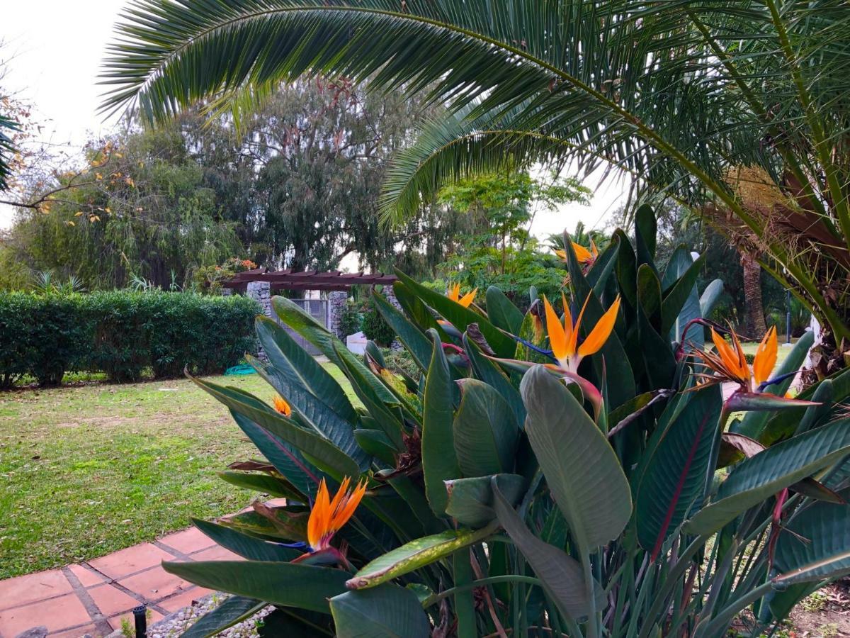 Puerto Banus Apartamento Flores Марбелья Экстерьер фото